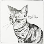 ねこ/NogiLindstedt This picture was painted by NogiLindstedt.